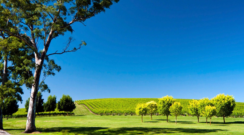 O Cuidado com as Perguntas