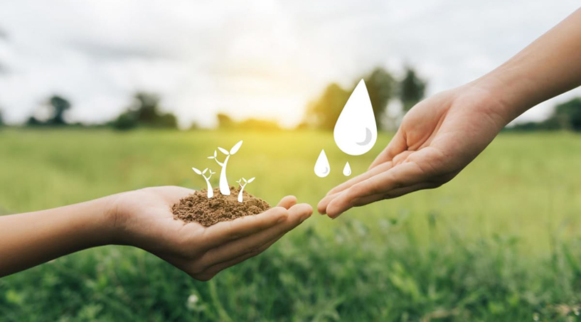 A Caridade Nunca Falha: O Caminho Seguro da Vitória Interior